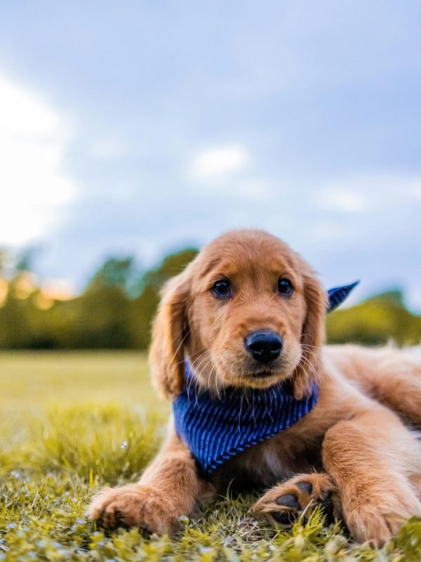 pexels-caleboquendo-7643247