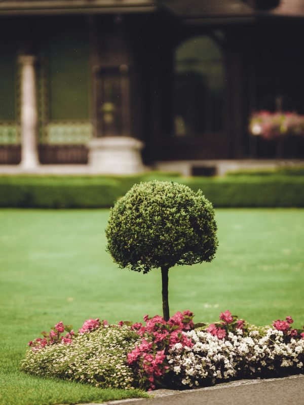 pexels-felix-mittermeier-2832040